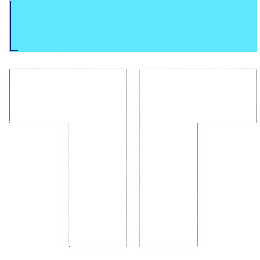 TOPEC FMS